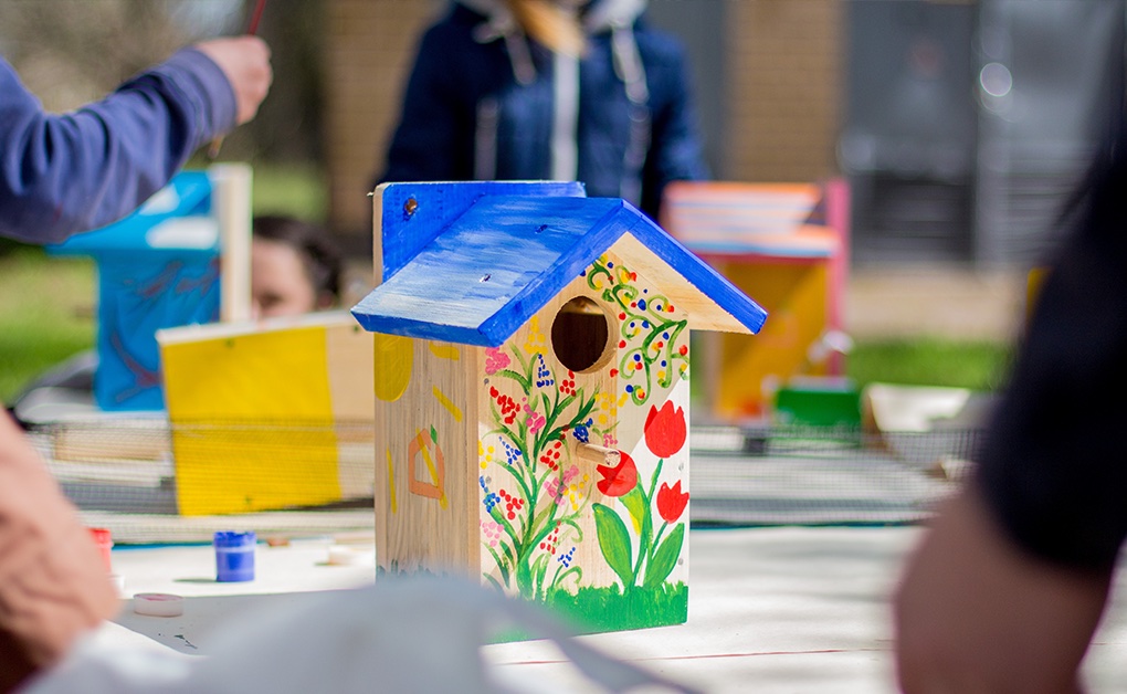 Подари дом птицам